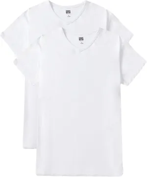 Men's V-Neck Undershirts 2 Pack  Soft Breathable Micro Modal Slim Fit Lightweight Tees Multicolor T-Shirts